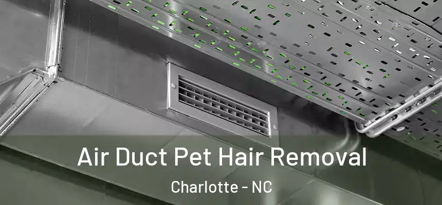 Air Duct Pet Hair Removal Charlotte - NC