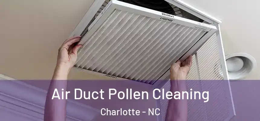 Air Duct Pollen Cleaning Charlotte - NC
