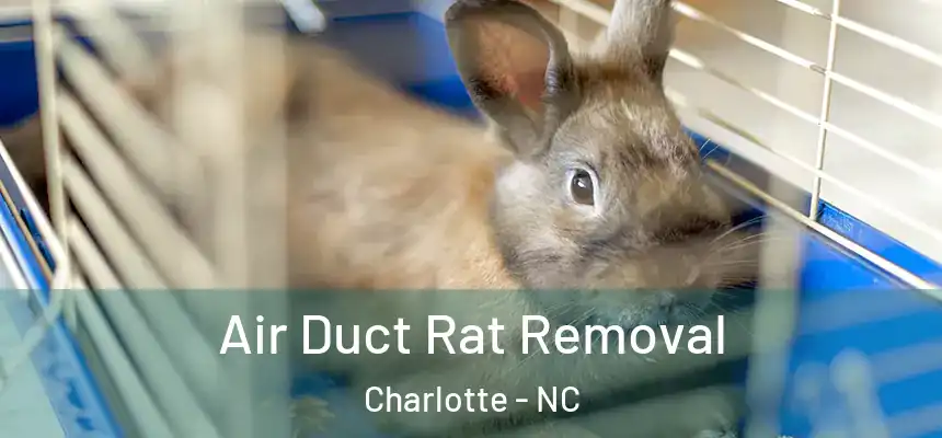 Air Duct Rat Removal Charlotte - NC