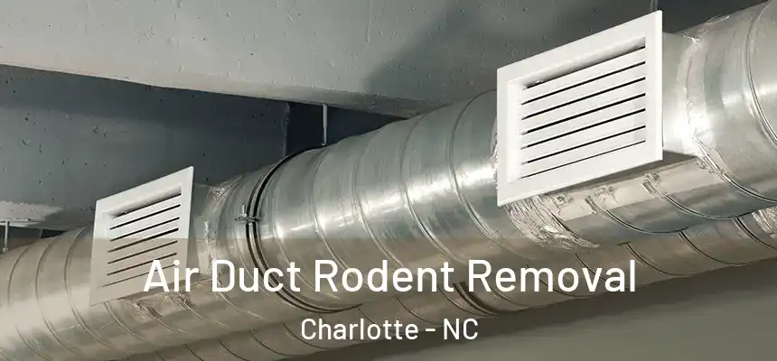 Air Duct Rodent Removal Charlotte - NC
