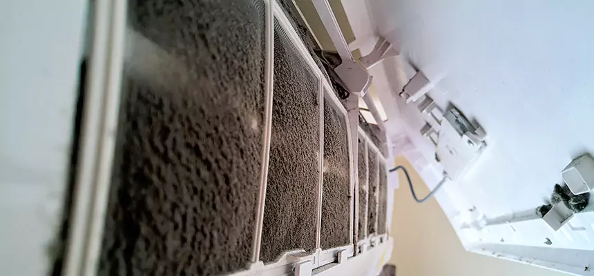 Preventive Air Duct Bacteria Removal in Charlotte