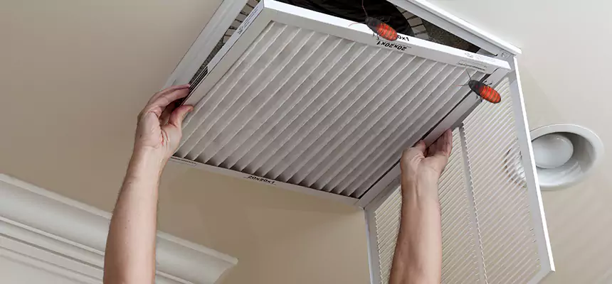 Preventive Cockroach-Proofing for Ducts in Charlotte