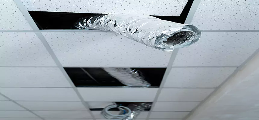 Affordable HVAC Sanitizing After Pest Removal in Charlotte