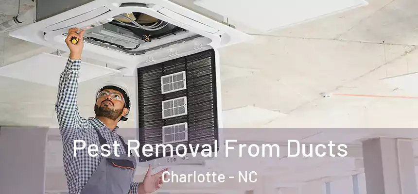 Pest Removal From Ducts Charlotte - NC