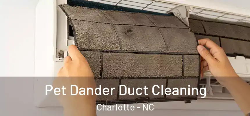 Pet Dander Duct Cleaning Charlotte - NC