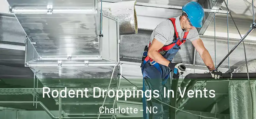 Rodent Droppings In Vents Charlotte - NC