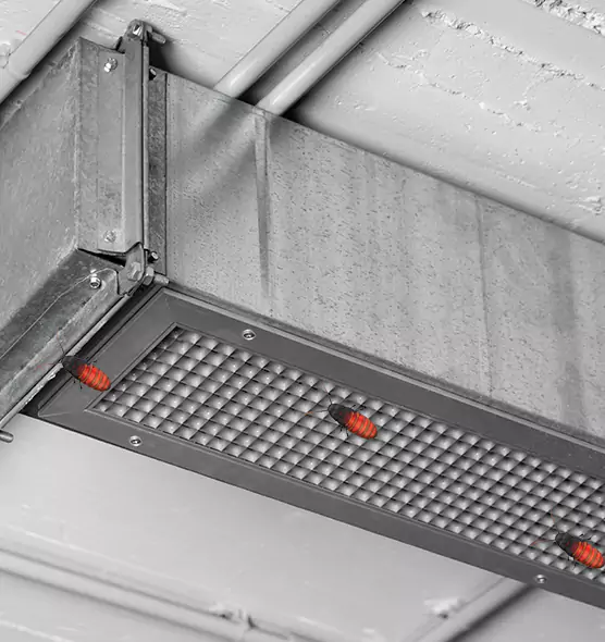 About Air Duct Cockroach Removal in Charlotte, NC