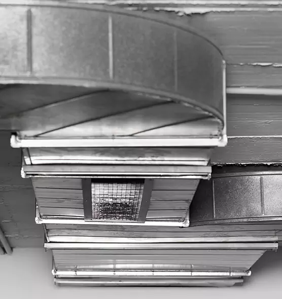 Professional Air Duct Pet Hair Removal in Charlotte, NC