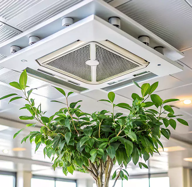 Why Homeowners & Businesses Trust Us in Charlotte, NC?